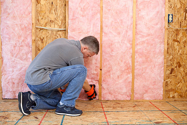 Best Insulation Maintenance and Repair in Rossville, GA